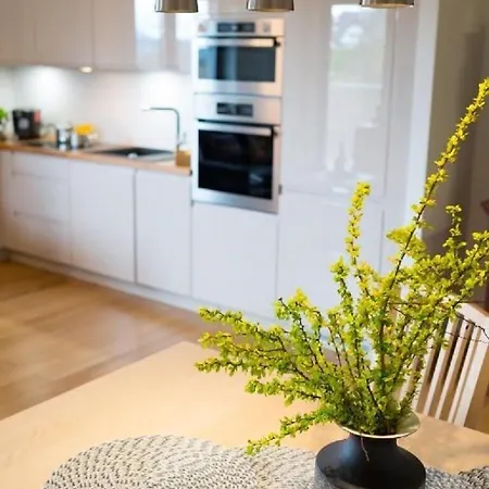 格兰迪卡中心公寓 公寓 *