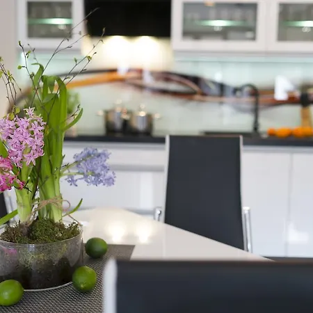 格兰迪卡中心公寓