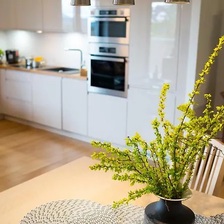 格兰迪卡中心公寓 公寓 扎科帕内