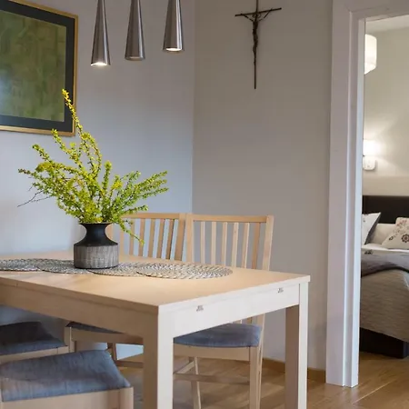 公寓 格兰迪卡中心公寓 *